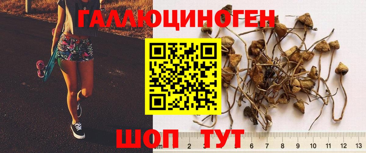 Галлюциногенные грибы GOLDEN TEACHER Партизанск