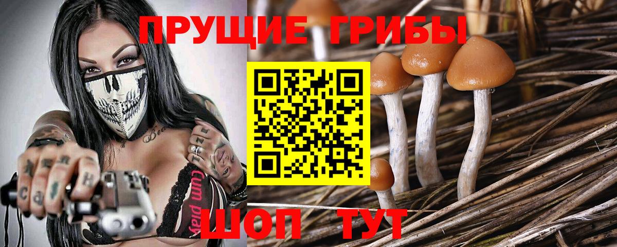 Галлюциногенные грибы мухоморы  Вход с VPN  Партизанск  Галлюциногенные грибы Psilocybe 